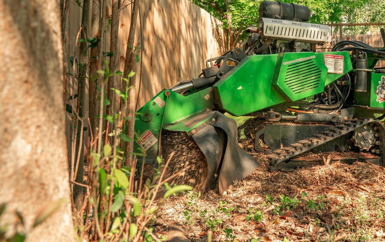 A worker operates a tree stump grinder